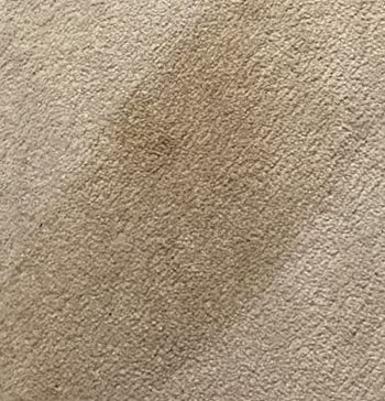 reviewer photo of a stain on a beige carpet