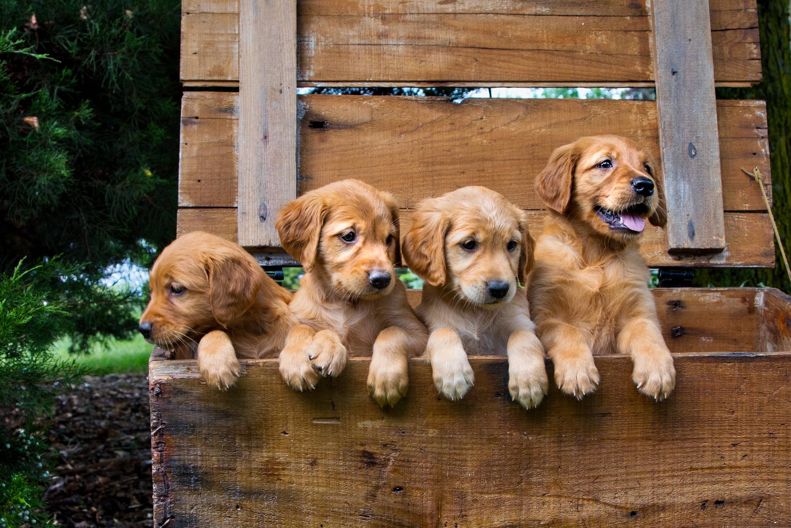 Quiz: How Many Children Will You Have? Quiz: How Many Children Will You Have?