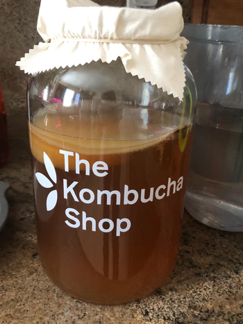 reviewer photo of a jug of homemade kombucha