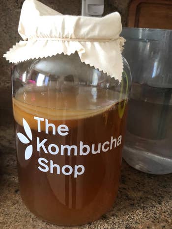reviewer photo of a jug of homemade kombucha