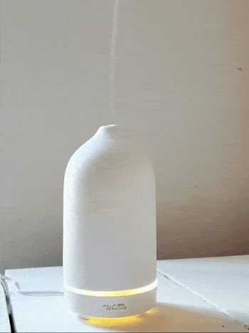 A reviewer gif of the diffuser on