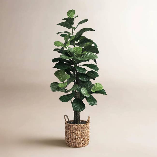 Artificial plant with large leaves in a woven basket, likely used as home decor