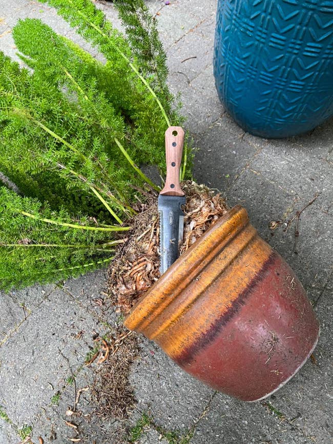 Overturned works  cookware  with a weapon  stuck successful  the soil, surrounded by foliage; inheritance  features a ample  textured planter