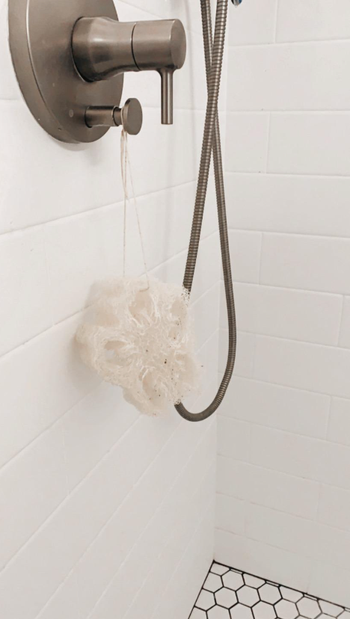 same piece of loofah hanging in reviewer's shower