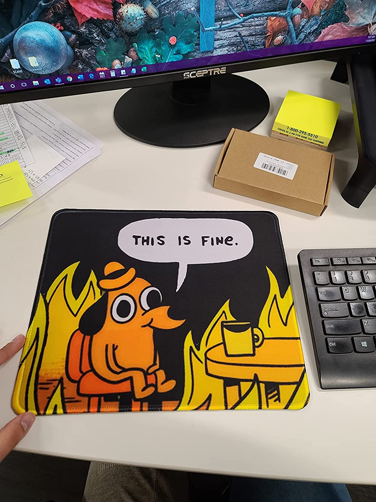 Reviewer's dog in fire mousepad on their desk
