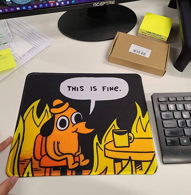 Reviewer's dog in fire mousepad on their desk