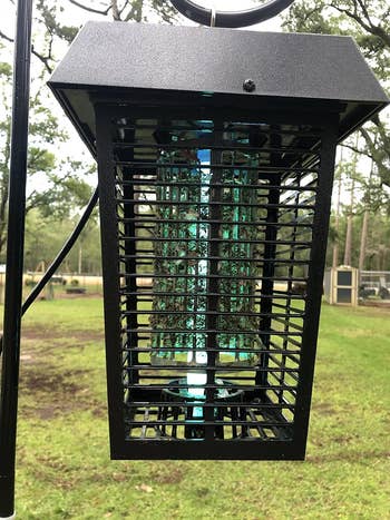 Outdoor bug zapper lantern hanging in a yard