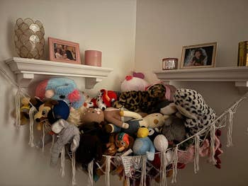 A partition  country   with shelves holds framed photos, a candle, and decor. A hammock beneath  overflows with assorted  plush toys and stuffed animals