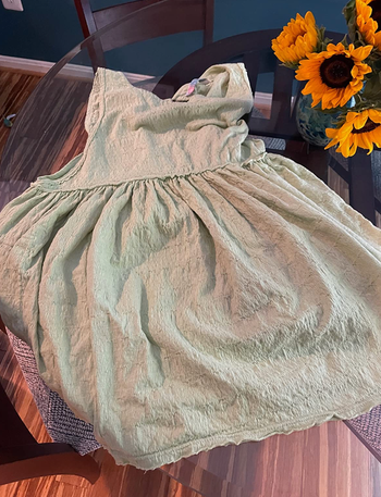 same reviewer's dress with stains completely gone