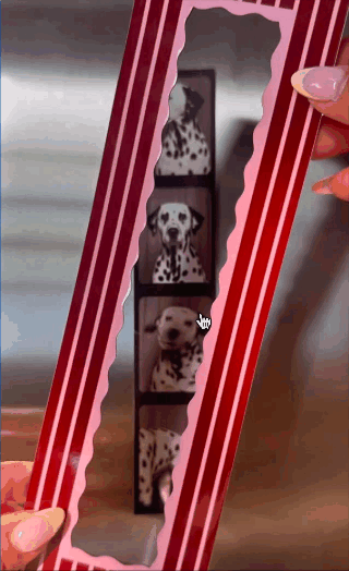 Four-photo portion of a Dalmatian successful a reddish and achromatic striped frame, held by manicured hands