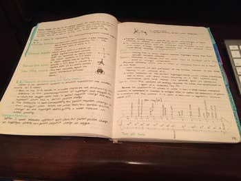 Reviewer's photo of the notebook filled with notes 