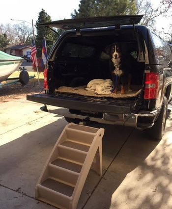 Reviewer image of brown plastic chairs in back of open truck trunk with dog inside