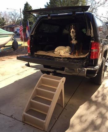 Reviewer image of brown plastic chairs in back of open truck trunk with dog inside