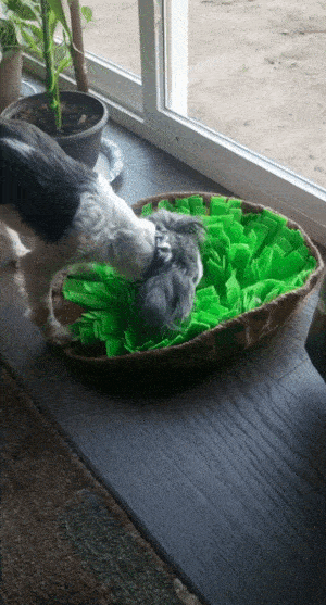 gif of reviewer dog sniffing through snuffle mat 
