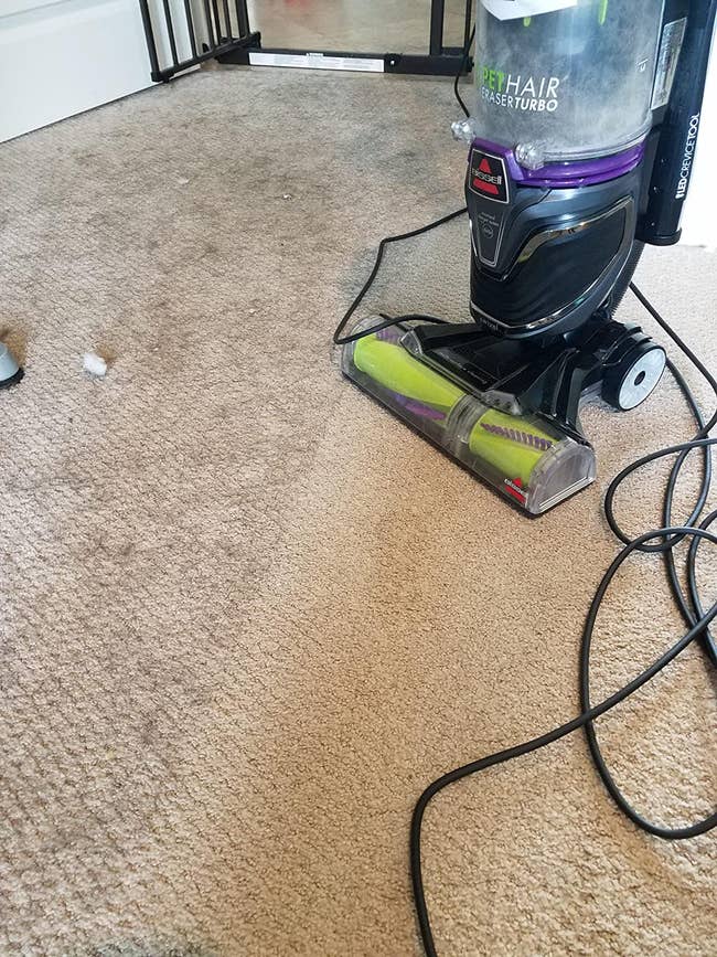 the bissell pet hair eraser turbo on a carpet that's been halfway vacuumed, showing a much cleaner, hair-free side next to the dirty, pet hair-covered side that still needs cleaning for contrast 