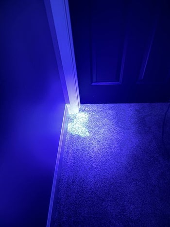 a reviewer using the light to show a urine stain on their carpet