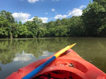 reviewer view from kayak 