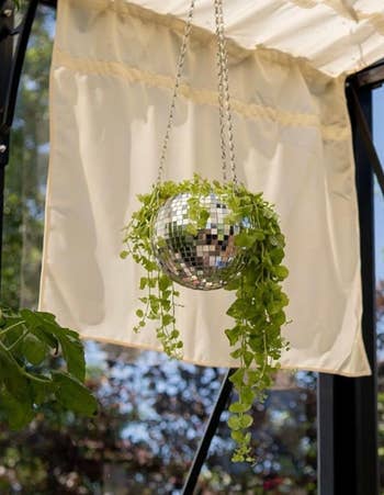 photo of the disco ball planter hanging