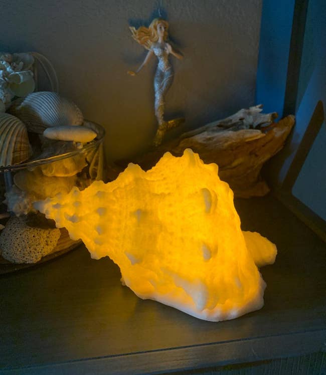 Reviewer's conch shell glows at night