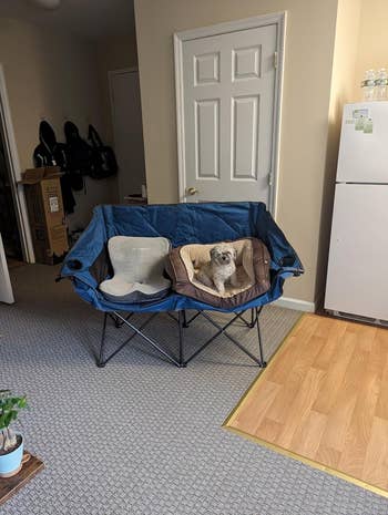 A cute canine  is sitting successful  a comfy outdoor seat  acceptable   up   wrong  a cozy surviving  space. There are household   items similar  a refrigerator and cardboard boxes successful  the background