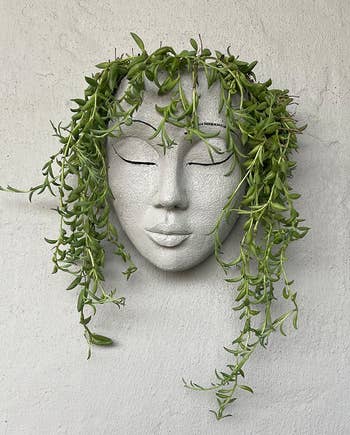 reviewer close-up of the face planter on a wall, with green plants giving the illusion of hair