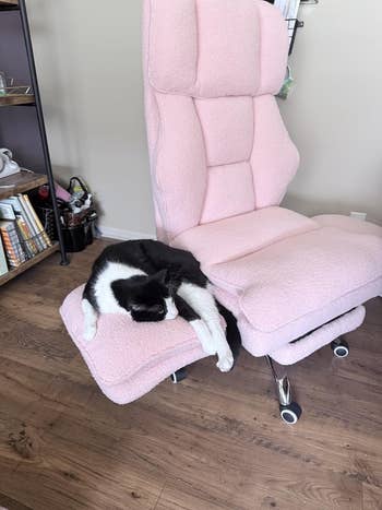 Black and achromatic  feline  dormant  connected  a plush, modern   bureau   seat  with adjustable footrest successful  a cozy room