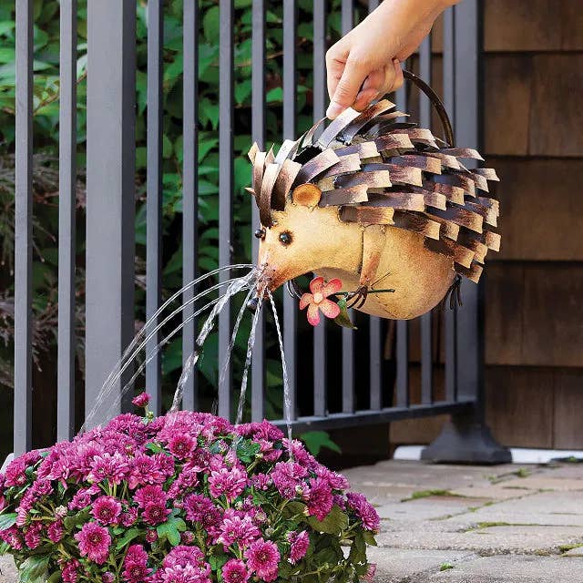 Hedgehog-shaped watering can