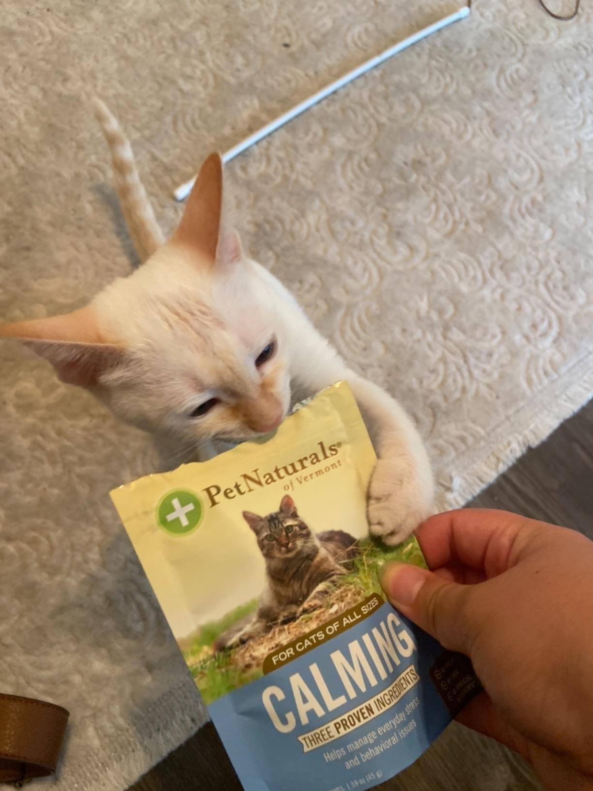 25 Pet Products Reviewers 