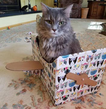 cat sitting in a box shaped like an airplane
