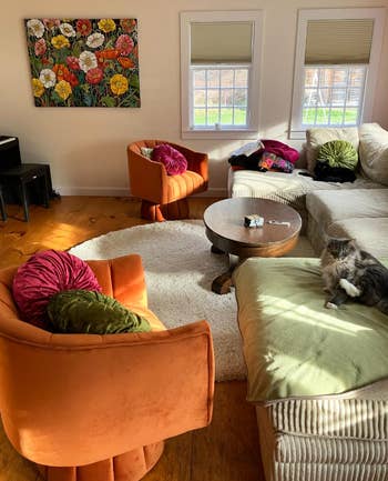 A cozy surviving country with a feline connected the couch, adjacent armchairs, a java table, and a floral coating above