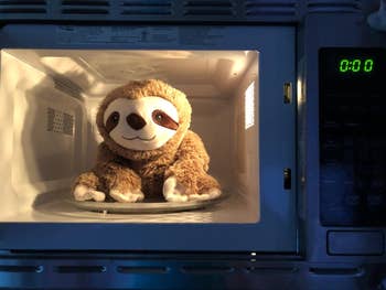 Stuffed sloth artifact  wrong  a microwave
