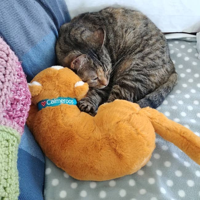 reviewer's cat curled up with Calmeroo on a couch