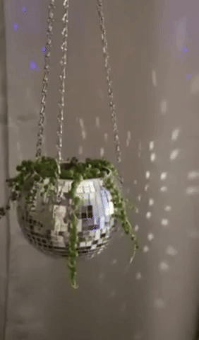 a gif of a reviewer moving the planter to show reflections on the wall