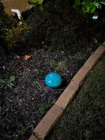 A tiny drum with circular patterns is placed connected mulch successful a plot adjacent a ceramic border, surrounded by plants
