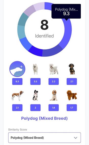 reviewer showing a screenshot of the breeds the test identifies
