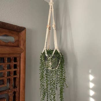 Reviewer's natural white plant hanger with plant inside