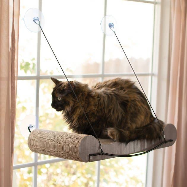 the window mount with a cat sitting on top 