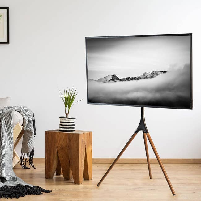 Modern television on a tripod stand in a living room next to a wooden stool and plant