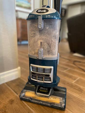 different reviewer's standing vacuum filled with hair and dirt