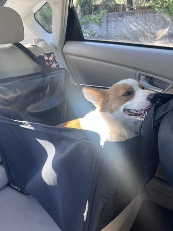 Reviewer image of black large dog car seat strapped onto the front and back headrest 
