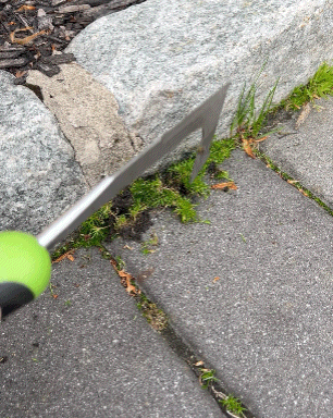Weed removal instrumentality   being utilized  connected  writer  and weeds betwixt  factual  slabs outdoors