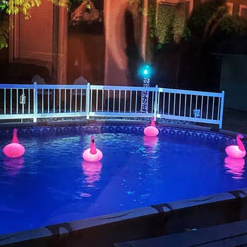 pink flamingo-shaped floating pool lights in reviewer's pool during sunset