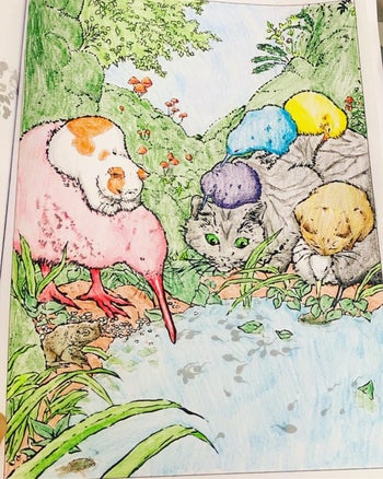 a reviewer's colored in page from the coloring book of cats by a pond