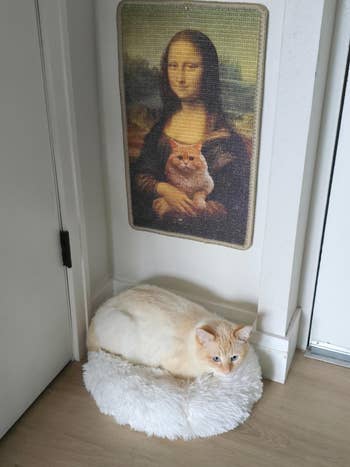 Cat lounging connected a fluffy cushion beneath a tapestry of the Mona Lisa holding a cat