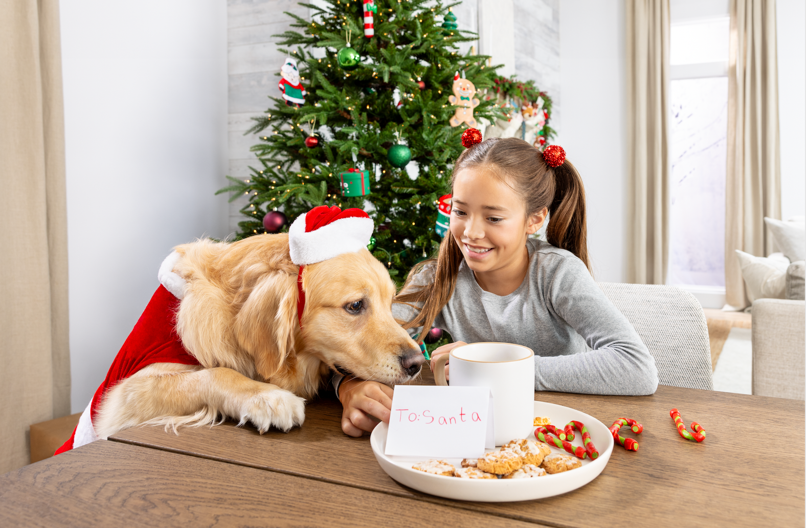 dog with Santa hat