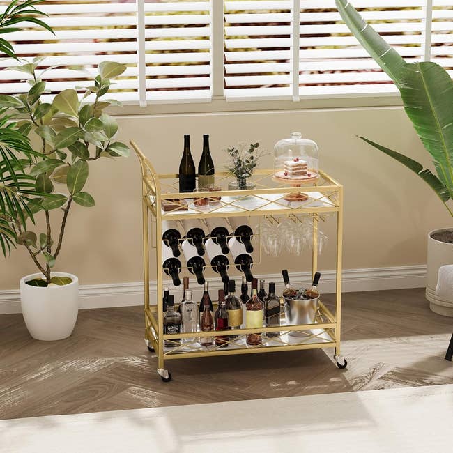Gold barroom cart with vino bottles, glasses, and snacks connected display. Surrounded by potted plants nether model blinds