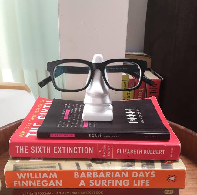 Glasses atop a white nose-shaped stand on books