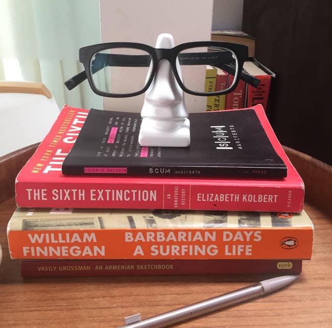 Glasses atop a white nose-shaped stand on books