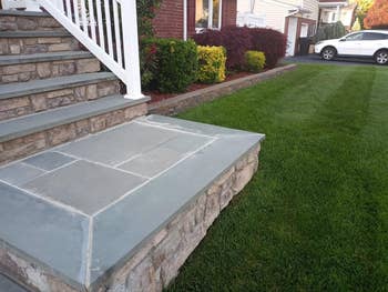 reviewer image of a perfectly maintained lawn