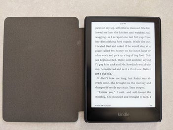 reviewer's Kindle Paperwhite in a flip case